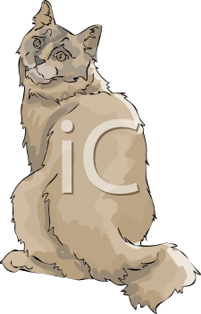 Pet Clipart