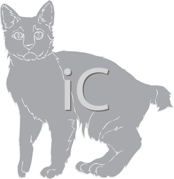 Pet Clipart