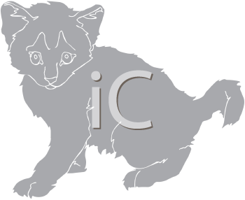 Pet Clipart