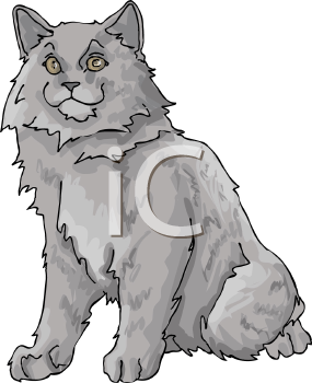 Pet Clipart