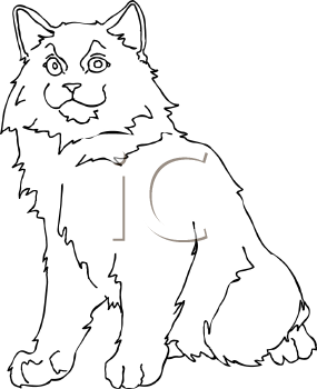 Pet Clipart