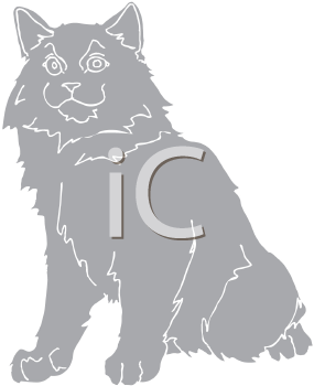 Pet Clipart