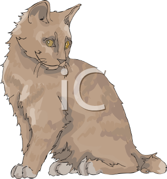 Pet Clipart