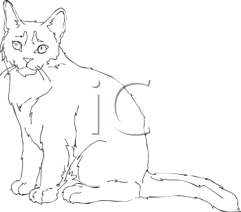 Pet Clipart