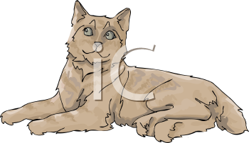 Pet Clipart