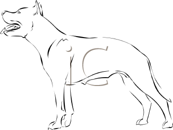 Dog Clipart