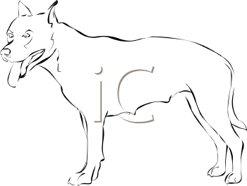 Pet Clipart