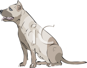 Pet Clipart