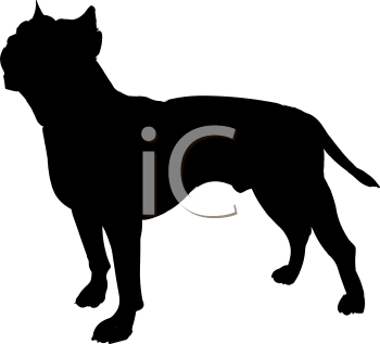 Pet Clipart