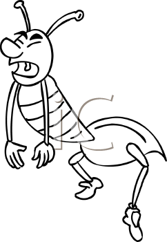 Insect Clipart