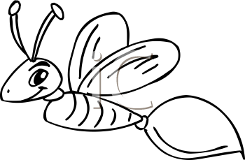 Insect Clipart