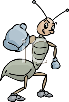 Insect Clipart