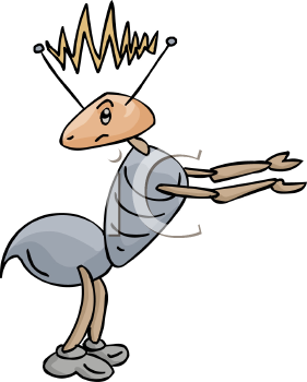 Insect Clipart