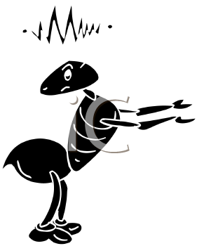Insect Clipart