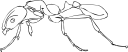 Insect Clipart