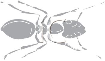 Insect Clipart