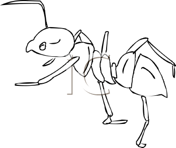 Insect Clipart