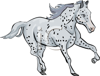 Horse Clipart