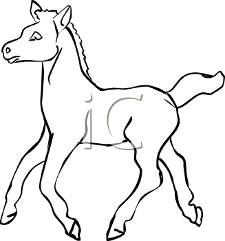 Horse Clipart