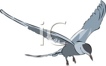Bird Clipart