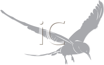 Bird Clipart