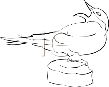 Bird Clipart