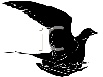 Bird Clipart