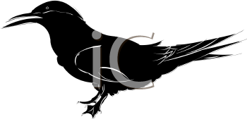 Bird Clipart