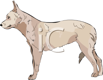 Pet Clipart