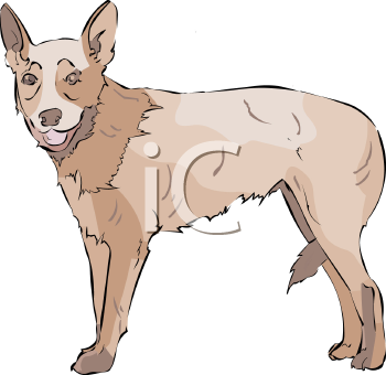 Pet Clipart
