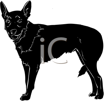 Pet Clipart