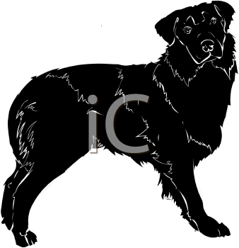 Farm Animal Clipart