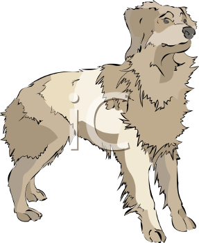 Dog Clipart