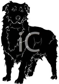 Pet Clipart