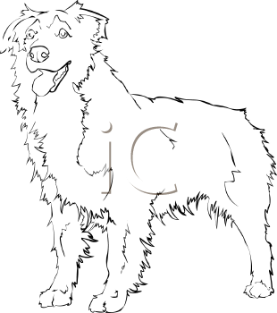 Pet Clipart