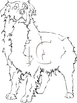 Pet Clipart