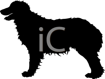 Pet Clipart