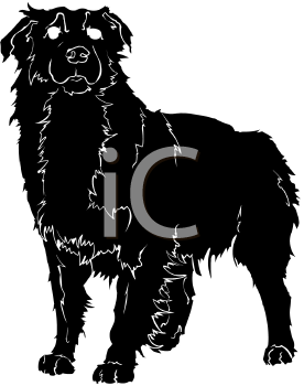 Pet Clipart