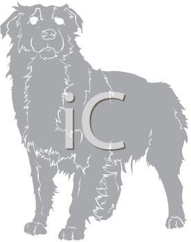 Pet Clipart