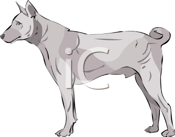Pet Clipart