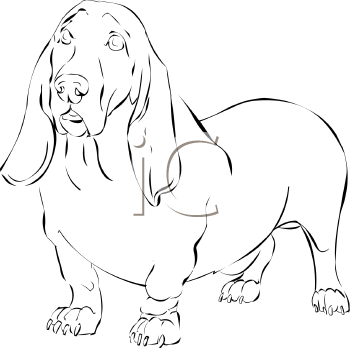 Pet Clipart