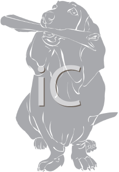 Pet Clipart
