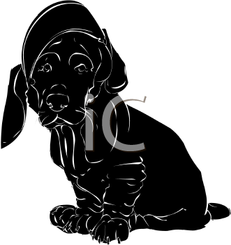 Pet Clipart