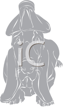 Pet Clipart