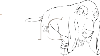 Dog Clipart