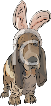Pet Clipart