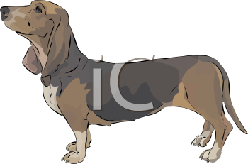 Dog Clipart
