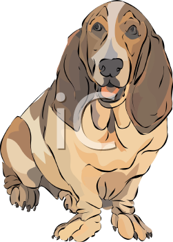 Pet Clipart
