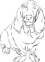 Pet Clipart