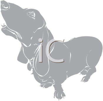 Pet Clipart